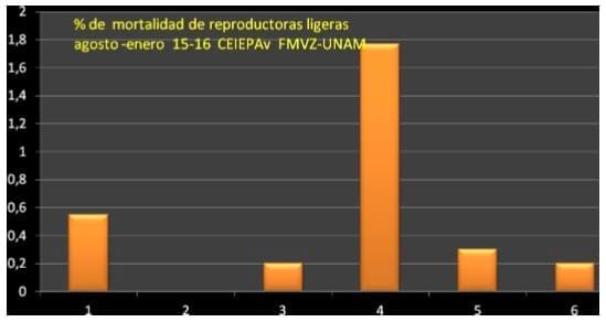 Impacto económico de un brote de bronquitis infecciosa en un lote de reproductoras ligeras en el centro de enseñanza investigación y extensión en producción avícola de la FMVZ de la UNAM - Image 2