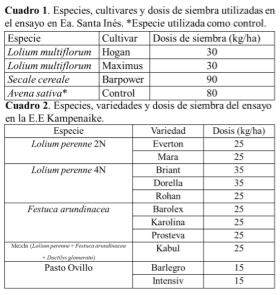 SOCHIPA - EVALUACIÓN DE NUEVAS ESPECIES Y CULTIVARES DE GRAMINEAS ANUALES Y PERENNES PARA LOS SISTEMAS GANADEROS DE MAGALLANES - Image 1