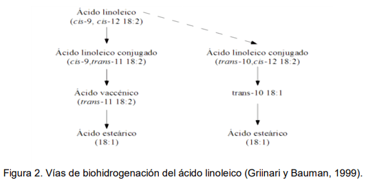 El empleo del ácido linoleico conjugado (CLA) en rumiantes - Image 2