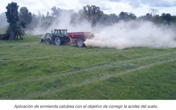 FORRAJERAS - Establecimiento de pasturas y cultivos suplementarios - Image 10