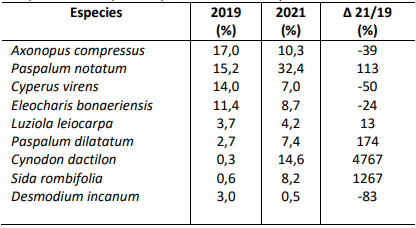 Tabla 1. Variación porcentual de las principales especies componentes del pastizal para los años 2019 y 2021.