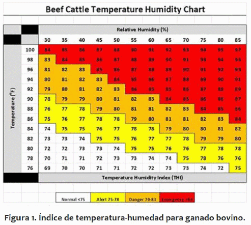 Balance térmico en ganado de engorda europeo y cebú - Image 1