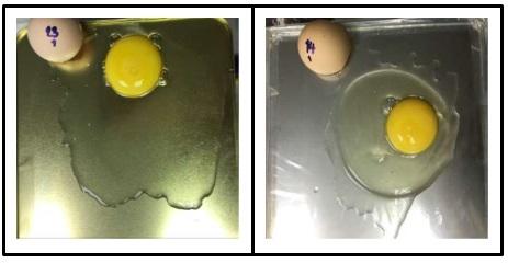 Además del enriquecimiento de huevos, selenio presenta beneficios productivos - Image 3