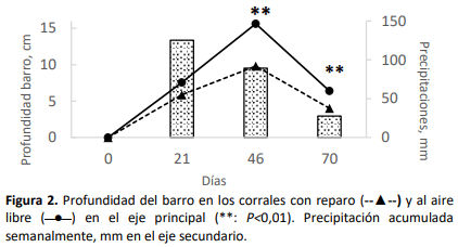 Figura 2. Profundidad del barro en los corrales con reparo (--▲--) y al aire libre ( ● ) en el eje principal (**: P< 0,01). Precipitación acumulada semanalmente, mm en el eje secundario.