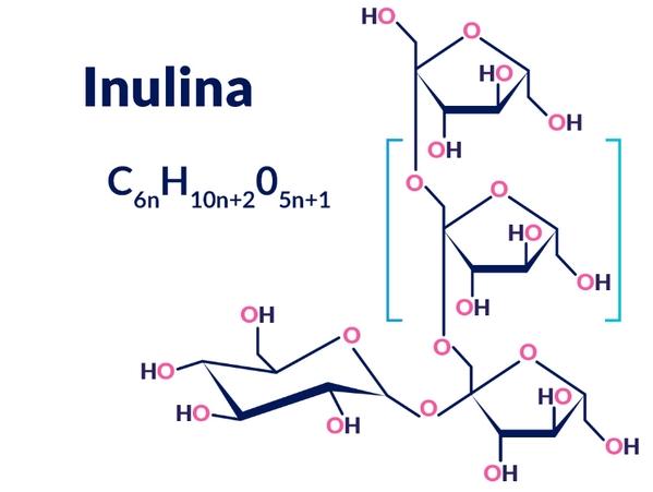 La Inulina y su importancia en lechones destetados - Image 1