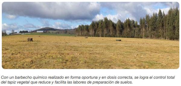 FORRAJERAS - Establecimiento de pasturas y cultivos suplementarios - Image 20
