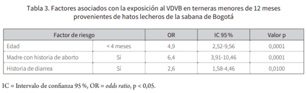 Identificación de factores asociados con la exposición al virus de la diarrea viral bovina (VDVB) en terneras de hatos lecheros de la sabana de Bogotá - Image 5