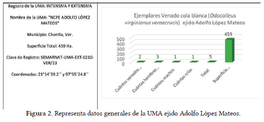 Caracterización de sistemas de producción, ganadería diversificada con venado cola blanca (odocoileus virginianus veraecrucis), Veracruz, México. - Image 2