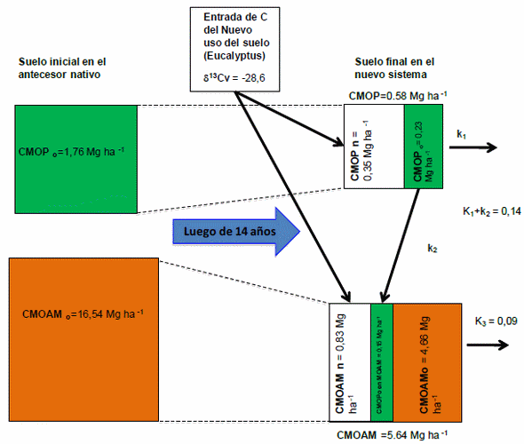 Uso de fraccionamiento e isótopos estables de <sup>13</sup>C para evaluar el ciclado de la materia orgánica del suelo - Image 15
