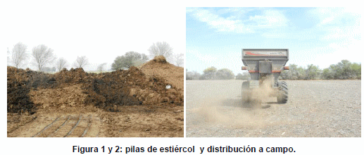 Evaluación de aplicación de residuos sólidos de tambo en cultivo de maíz - Image 1