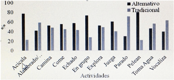 Figura 1: Porcentajes de actividades de los terneros en función de manejo del destete precoz.