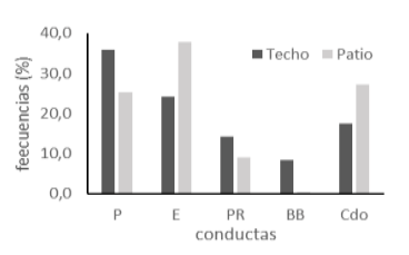Figura 1. Distribución de la conducta parado (P), echado (E), parado rumiando (PR), bebiendo (BB) y caminado (Cdo) en el techo y en el patio.