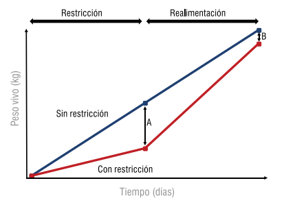 Figura 1 - Representación esquemática del índice compensatorio.