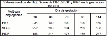 Relación Entre VEGF, PLGF y el Receptor FLT-1 en la Vascularización Placentaria Porcina - Image 1