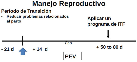 Eficiencia Reproductiva en el Ganado Lechero y su Recuperación Económica - Image 7