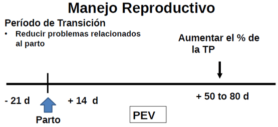 Eficiencia Reproductiva en el Ganado Lechero y su Recuperación Económica - Image 2