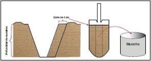 Conceptos de utilidad para lograr un correcto muestreo de suelos - Image 11