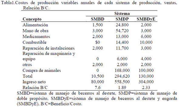 Evaluación socioeconómica de unidades de producción bovina caso: Guivicia Santa María Petapa, Oaxaca - Image 3