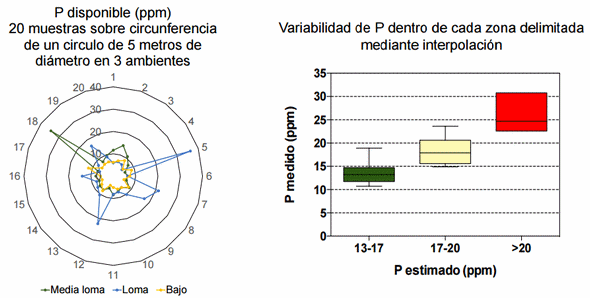 Aportes para el entendimiento de la variabilidad espacial de fósforo extractable en lotes de producción - Image 5