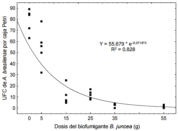 Biofumigación con Brassica juncea L. Czerniak y Sinapis alba L. Acción sobre el crecimiento in vitro de Trichoderma spp. y Azospirillum brasilense Tarrand, Krieg et Döbereiner - Image 2