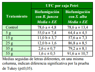 Biofumigación con Brassica juncea L. Czerniak y Sinapis alba L. Acción sobre el crecimiento in vitro de Trichoderma spp. y Azospirillum brasilense Tarrand, Krieg et Döbereiner - Image 1