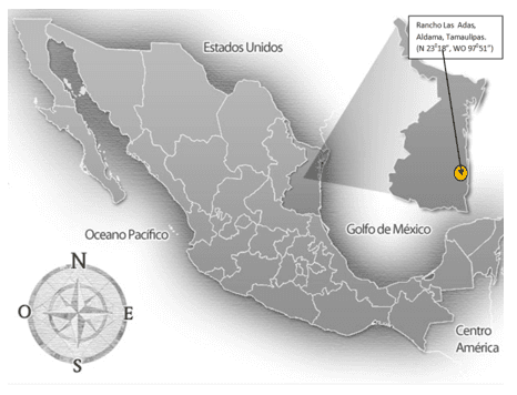 Estudio de brote de dermatophilus congolensis en bovinos de carne en pastoreo en el noreste de Mexico. Primer Reporte - Image 1