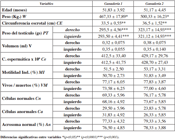 Parámetros testiculares y características morfoló- gicas de los espermatozoides epididimarios obtenidos postmortem en el toro de lidia - Image 1