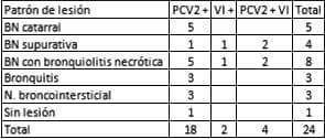 Detección y caracterización filogenética de Circovirus porcino tipo 2 y virus de influenza A y su relación con las lesiones neumónicas observadas en cerdos faenados - Image 2