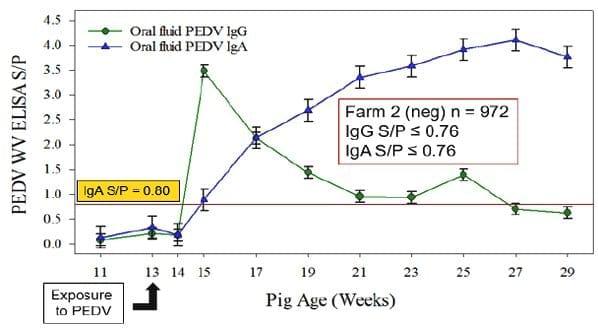 Detección de anticuerpos contra el virus de la diarrea epidémica porcina en cerdos de granjas comerciales. - Image 3