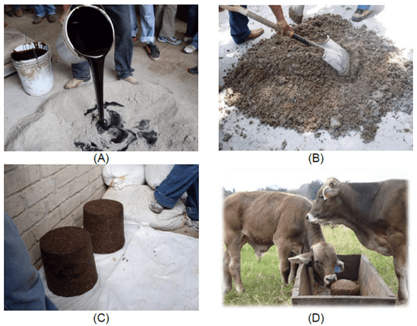 Estrategias de suplementación en ganado de doble propósito en el trópico húmedo - Image 7