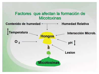 Manual Práctico Micotoxinas en Ganado Lechero - Image 1