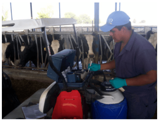 Cuidados necesarios con la técnica de Inseminación Artificial en bovinos - Image 3