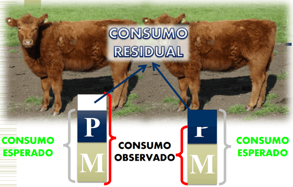 Consumo residual - Image 11