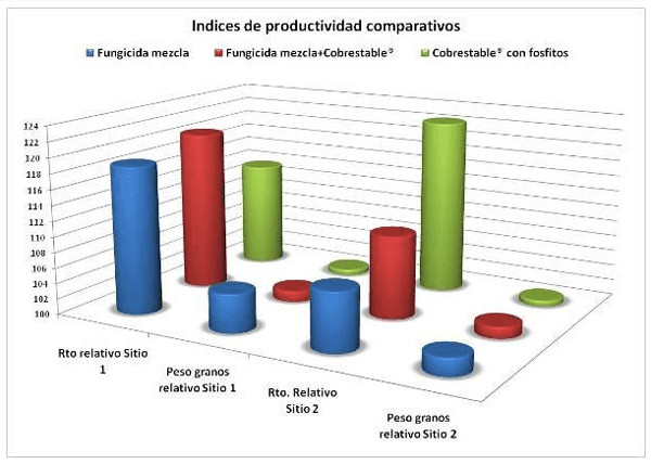 Evaluación de productos para el manejo de enfermedades en cultivo de soja, ciclo agrícola 2011/2012 - Image 9