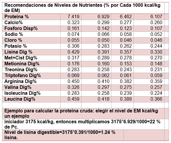 Nutrición de precisión para pollo de engorde de alto desempeño - Image 12