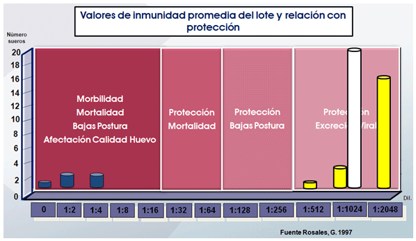 Brotes de enfermedad de New Castle en Colombia. ¿Dejaron de trabajar las vacunas…? - Image 12