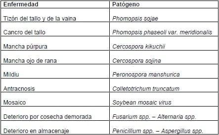 Patogenos de Semilla de Soja - Image 1