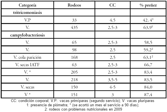 Principales variables que afectan la preñez en rodeos de cría de la Cuenca del Salado (servicio 2009-2010) - Image 3