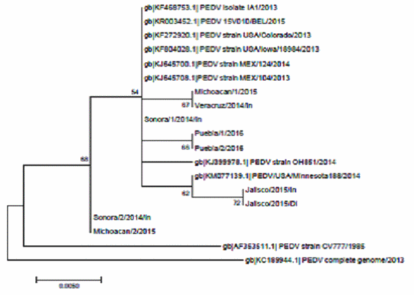 Variantes genéticas del virus de la diarrea epidemica porcina en cerdos lactantes y engorde - Image 1