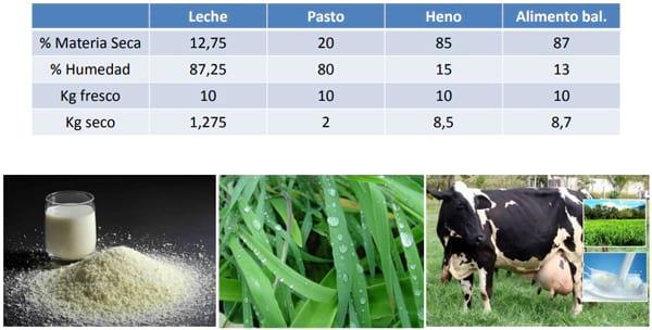 Aspectos Nutricionales de importancia en la producción lechera tropical - Image 4