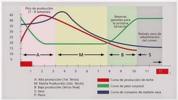 Aspectos Nutricionales de importancia en la producción lechera tropical - Image 5