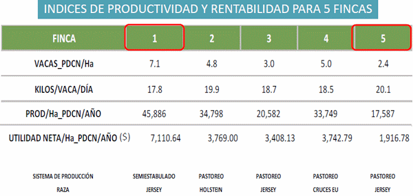 Eficiencia en la empresa lechera, el costo de producción - Image 4