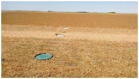 Evaluación de la eficiencia de cosecha directa de trébol blanco (trifolium repens l.) con una cosechadora con sistema de trilla axial - Image 13