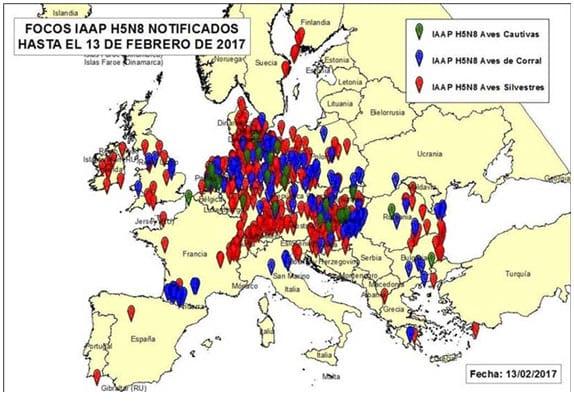 Gripe Aviar - Máxima alerta mundial - Image 2