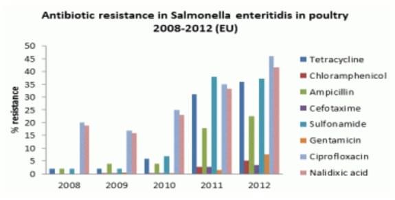 Resistencia a los antibióticos: reconocer la necesidad de cambio - Image 3
