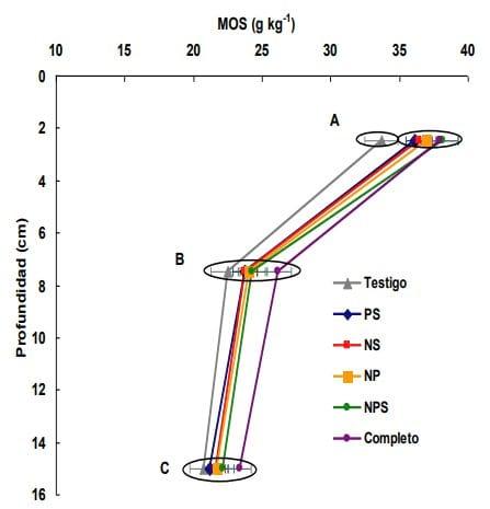 Balance de materia organica y capacidad de mineralización de nitrógeno de distintos suelos con fertilización continua - Image 2