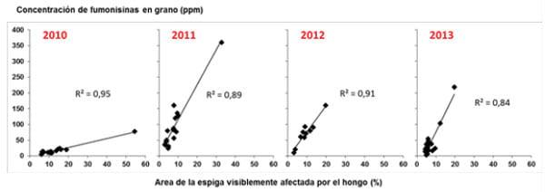 Resistencia a podredumbres de espiga y acumulacion de micotoxinas en maiz - Image 4