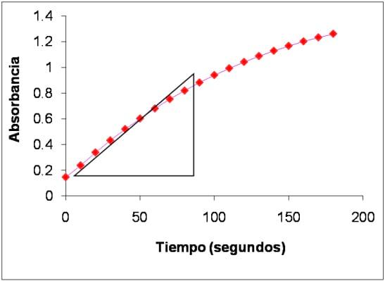 Evaluación del pardeamiento enzimático durante el almacenamiento en congelación del puré de palta (Persea americana Mill) Var. Hass. - Image 1