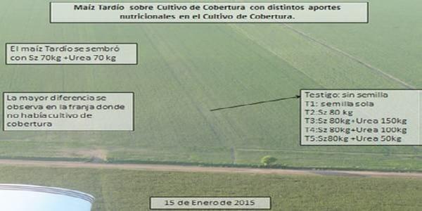 Los Cultivos de Cobertura como Alternativa en el Sistema de Producción Agrícola - Image 7