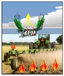 Agricultura de Conservación, una alternativa para conservar los suelos y reducir la quema de los residuos de cosecha - Image 5